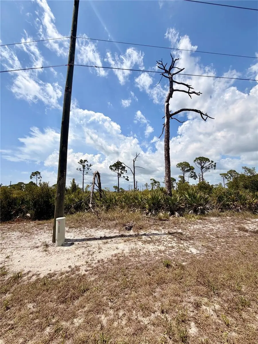6 Harness Road, Placida, FL 33946 - #2