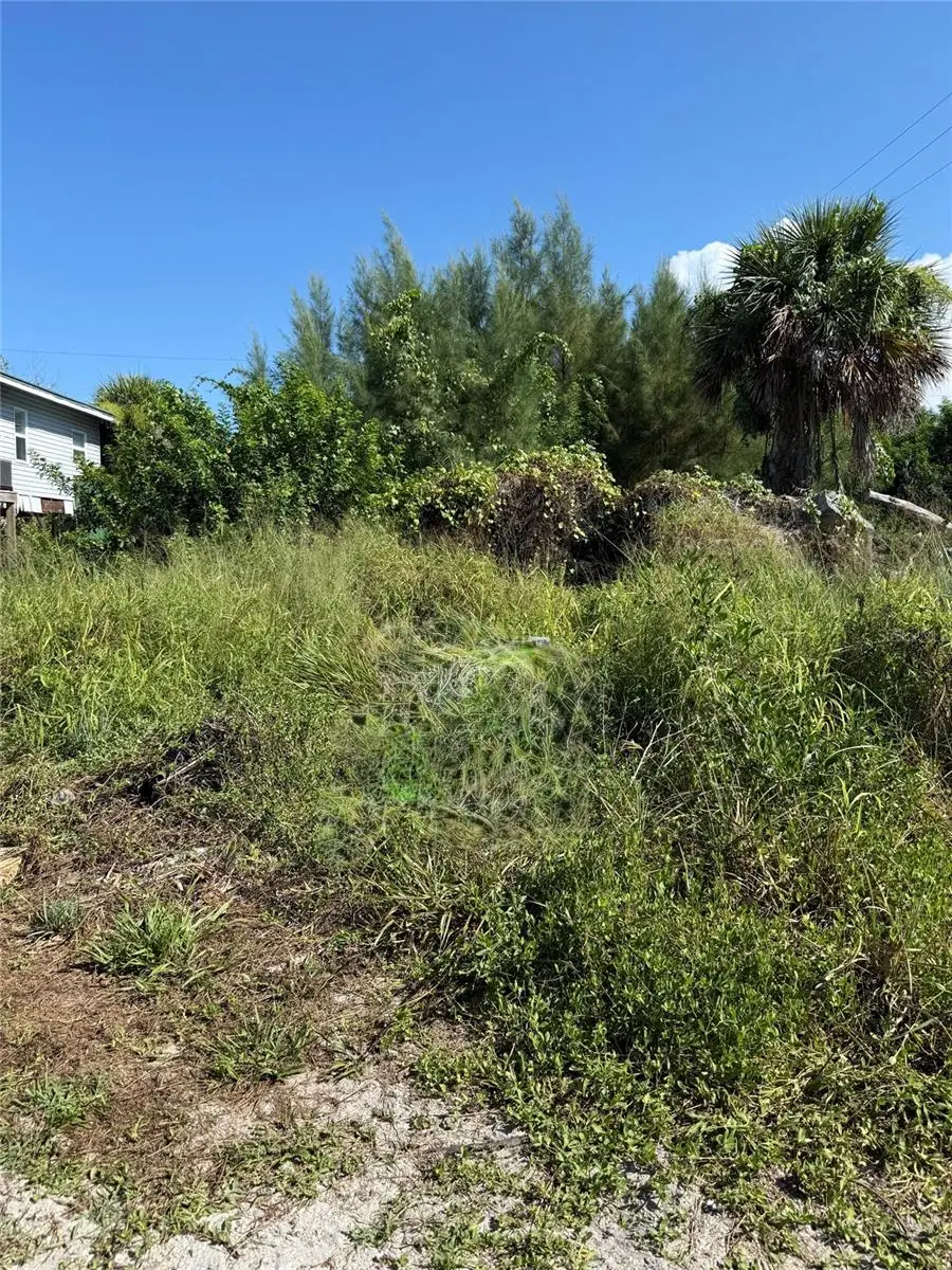 8990 Seagrape Lane, Placida, FL 33946 - #1