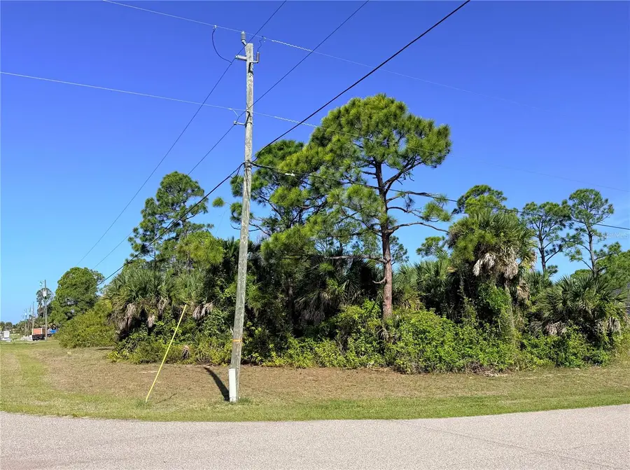 118 David Boulevard, Rotonda West, FL 33947 - #3