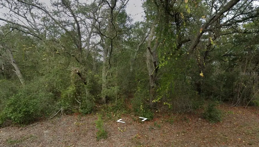 Fisher Way Dr Lot 16, Ocklawaha, FL 32179 - #2