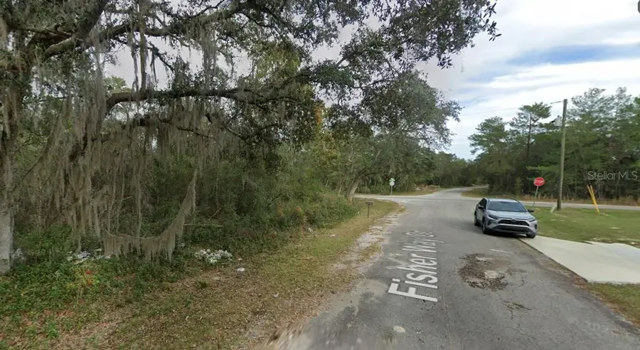 Fisher Way Dr Lot 16, Ocklawaha, FL 32179 - #3