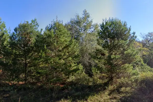 Parkview Lot 13 Drive, CHIPLEY, FL 32428