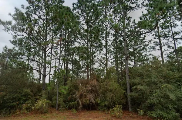 Deltona Boulevard, CHIPLEY, FL 32428