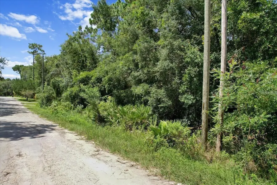 1420 S Highcliff Point, Homosassa, FL 34448 - #2