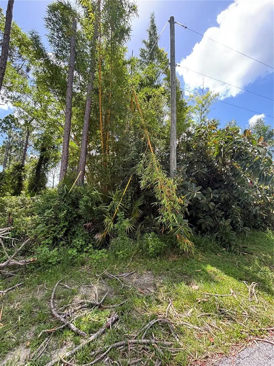 Renault Circle, North Port, FL 34291 - #3