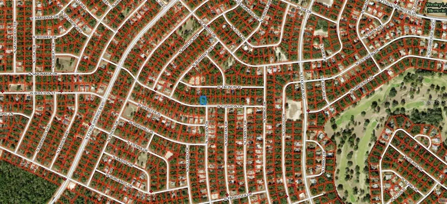 3357 W Cushion Drive, Citrus Springs, FL 34433 - #2