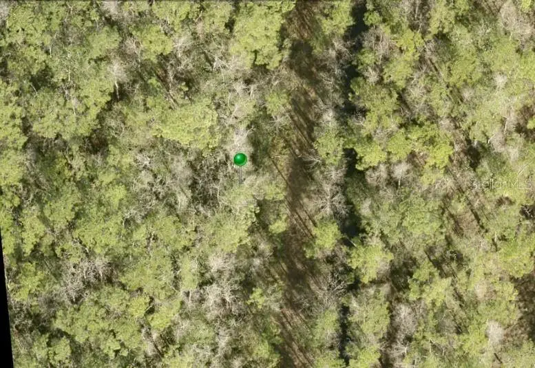 No Street, Lake Helen, FL 32744 - #1