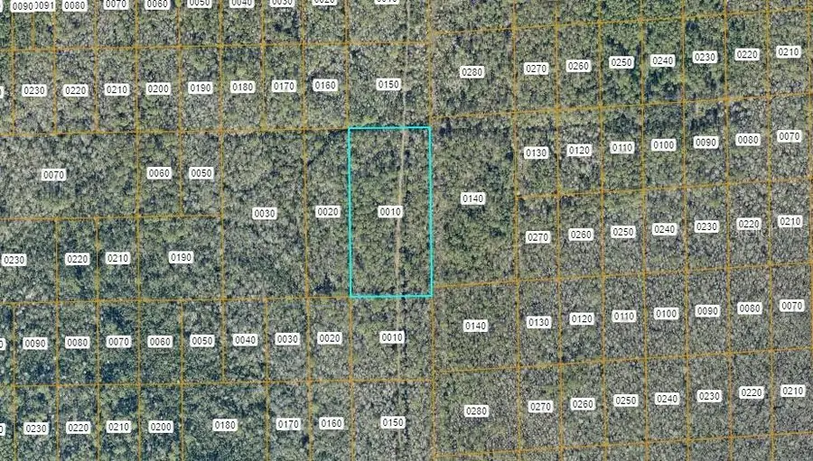 No Street, Lake Helen, FL 32744 - #2