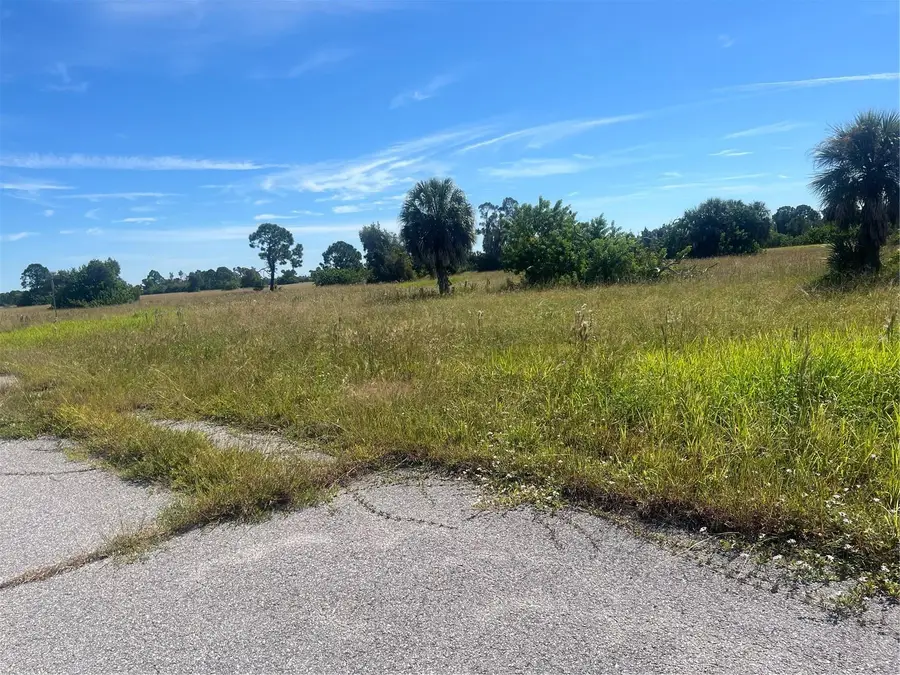 12441 Perch Way, Placida, FL 33946 - #2