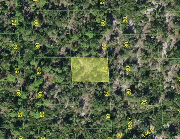 331 N Bonita Lane, PUNTA GORDA, FL 33982