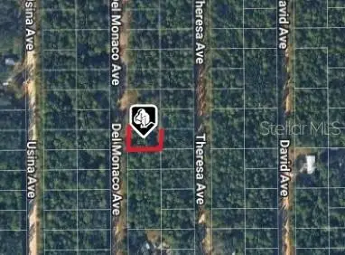 920 Del Monaco Avenue, INTERLACHEN, FL 32148