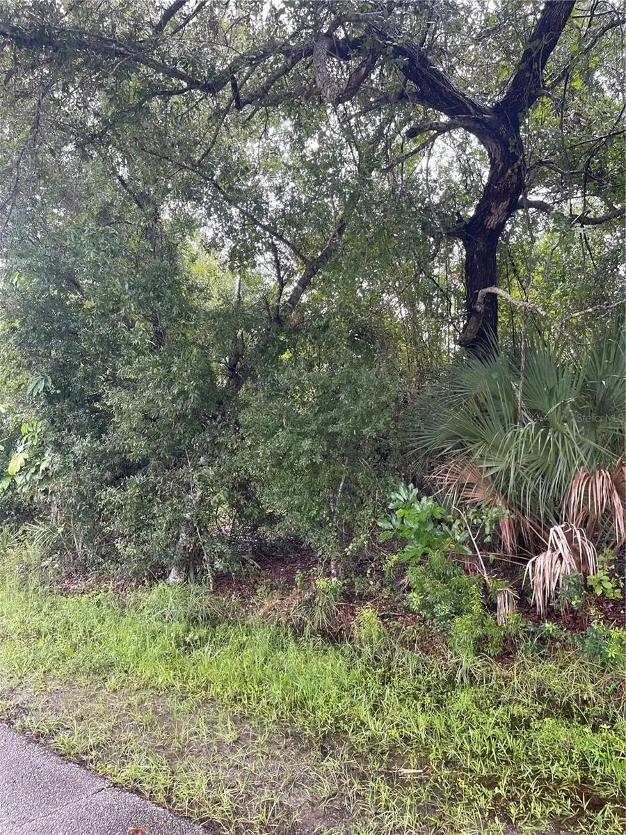 11327 Baggot Avenue, Englewood, FL 34224 - #2