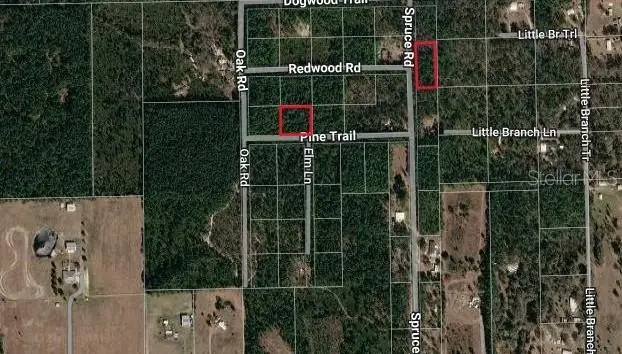 Spruce Road, Interlachen, FL 32148 - #3