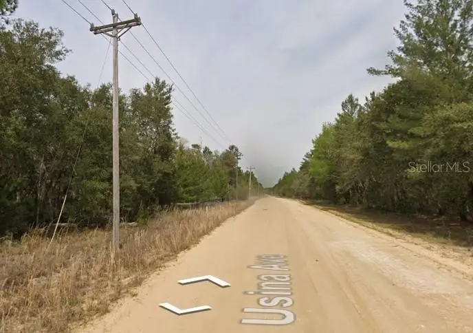 Usina Ave, Interlachen, FL 32148 - #2