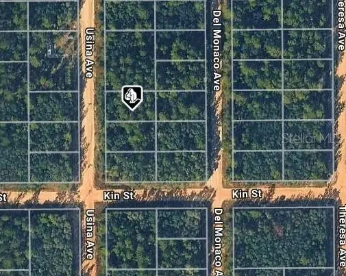 Usina Ave, Interlachen, FL 32148 - #3