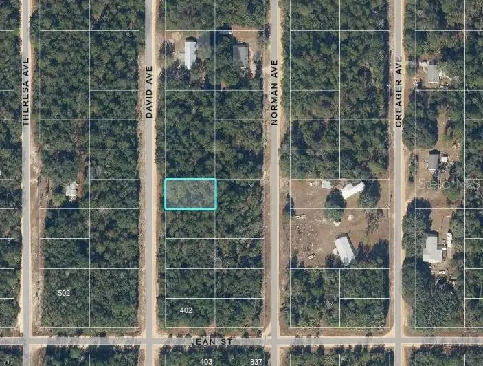 David Ave, Interlachen, FL 32148 - #2