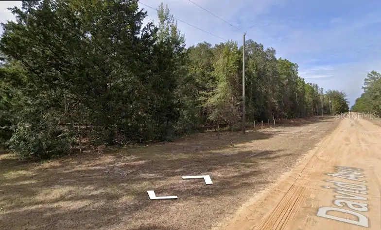 David Ave, Interlachen, FL 32148 - #3