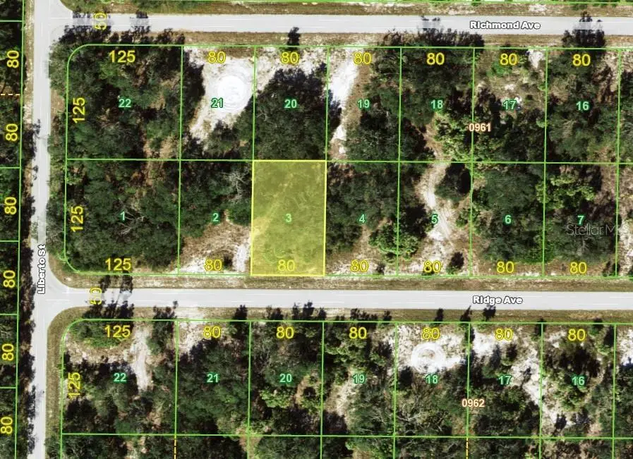 19172 Ridge Avenue, Port Charlotte, FL 33954 - #2