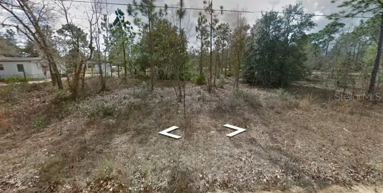 Lima St, Interlachen, FL 32148 - #2