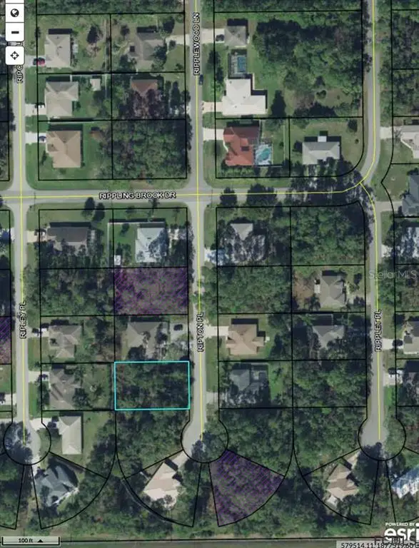 8 Ripton Place, PALM COAST, FL 32164