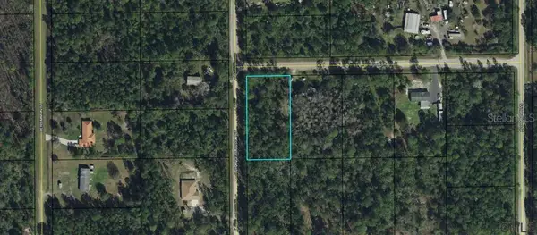 6131 Bush Street, BUNNELL, FL 32110