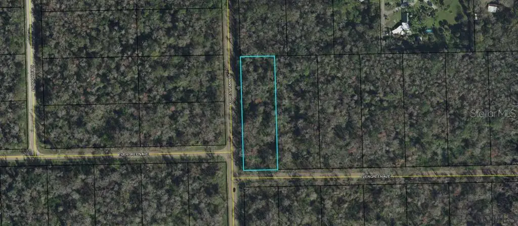 3936 Evergreen Avenue, Bunnell, FL 32110 - Image #1