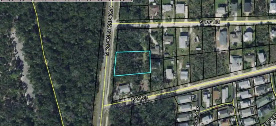 6169 N Ocean Shore Boulevard, Palm Coast, FL 32137 - Image #3