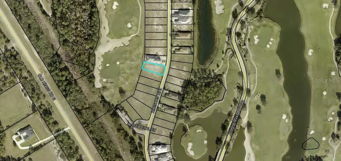 334 Hibiscus Way, Palm Coast, FL 32137 - Image #1