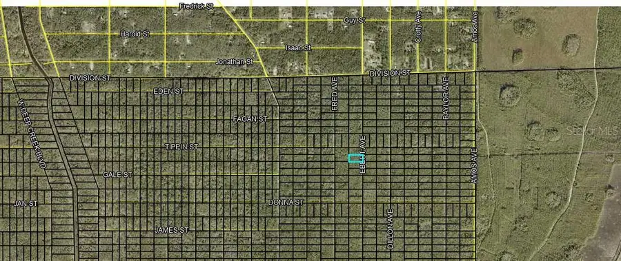 XXX Ebert Avenue, Hastings, FL 32145 - Image #2
