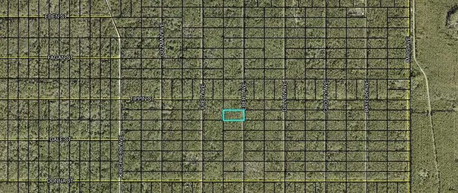 XXX Ebert Avenue, Hastings, FL 32145 - Image #3