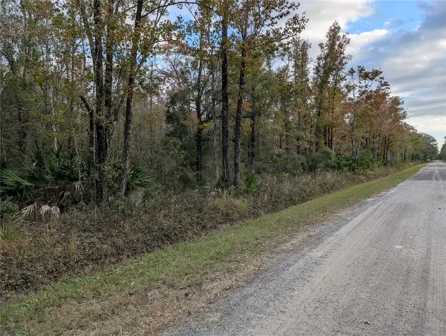 10660 Turpin Avenue, Hastings, FL 32145 - Image #3