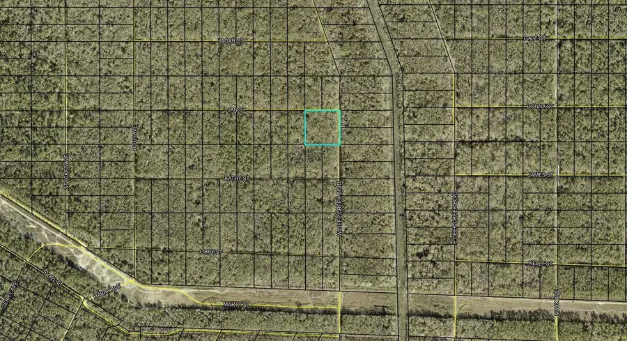 XXX W. Deep Creek Blvd Boulevard, Hastings, FL 32145 - Image #3