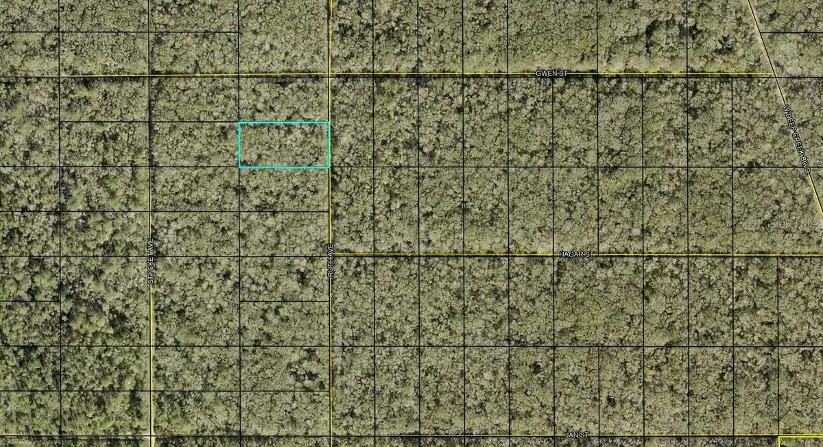 XXX Ruth Ave. Avenue, Hastings, FL 32145 - Image #1