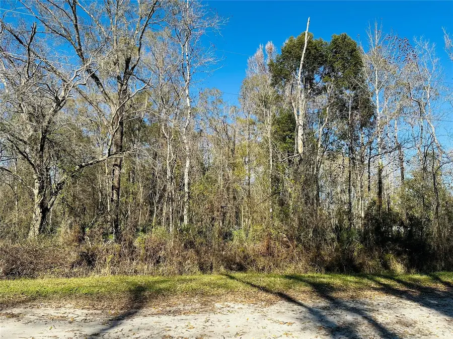 4790 Alvin Street, Hastings, FL 32145 - Image #2