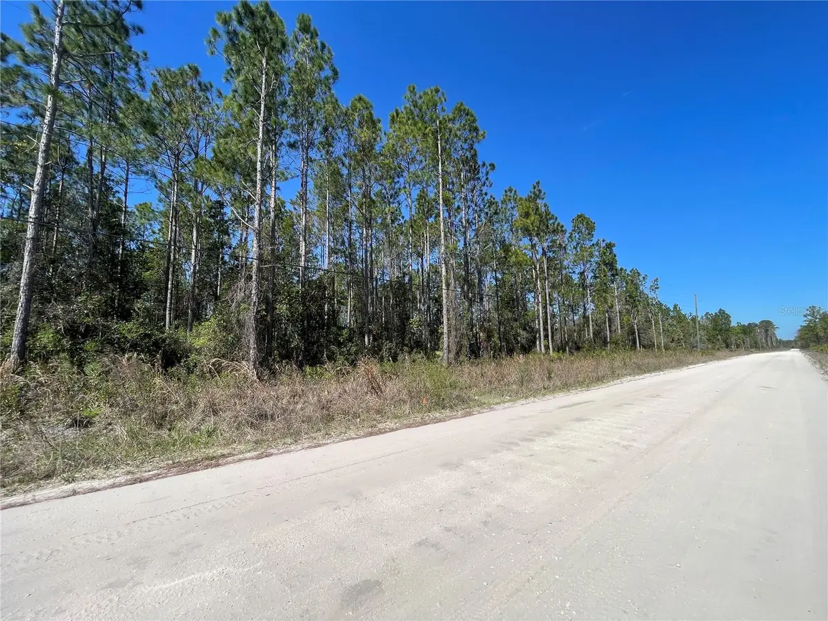 Chesser Hammock Road, Pierson, FL 32180 - Image #1