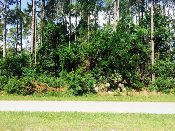 17 Kaufman Place, PALM COAST, FL 32164