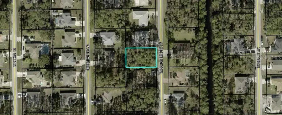 44 Rippling Brook Drive, Palm Coast, FL 32164 - Image #3