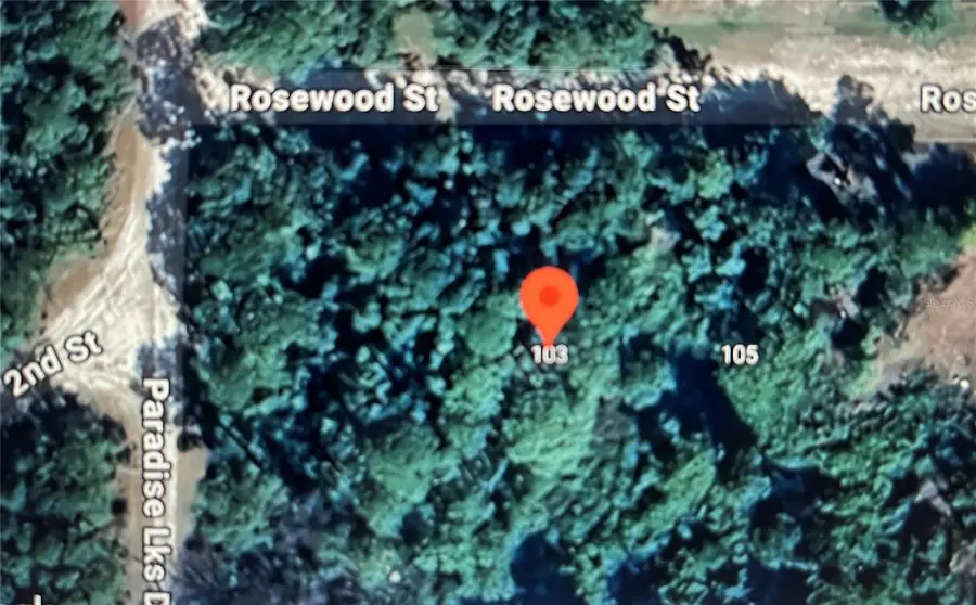 103 Rosewood Street, Georgetown, FL 32139 - Image #2