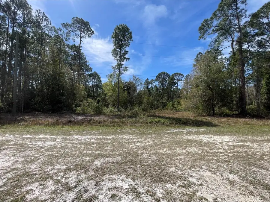 103 Rosewood Street, Georgetown, FL 32139 - Image #3