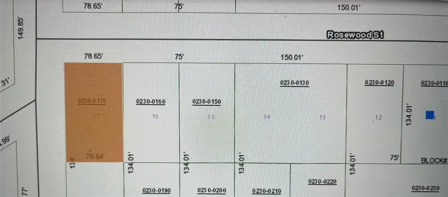 107 Rosewood Street, Georgetown, FL 32139 - Image #2