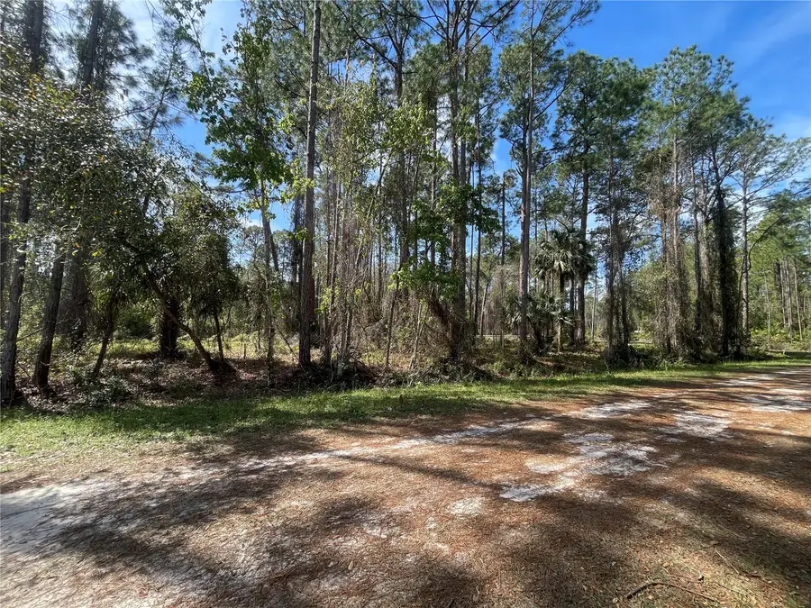 107 Rosewood Street, Georgetown, FL 32139 - Image #3