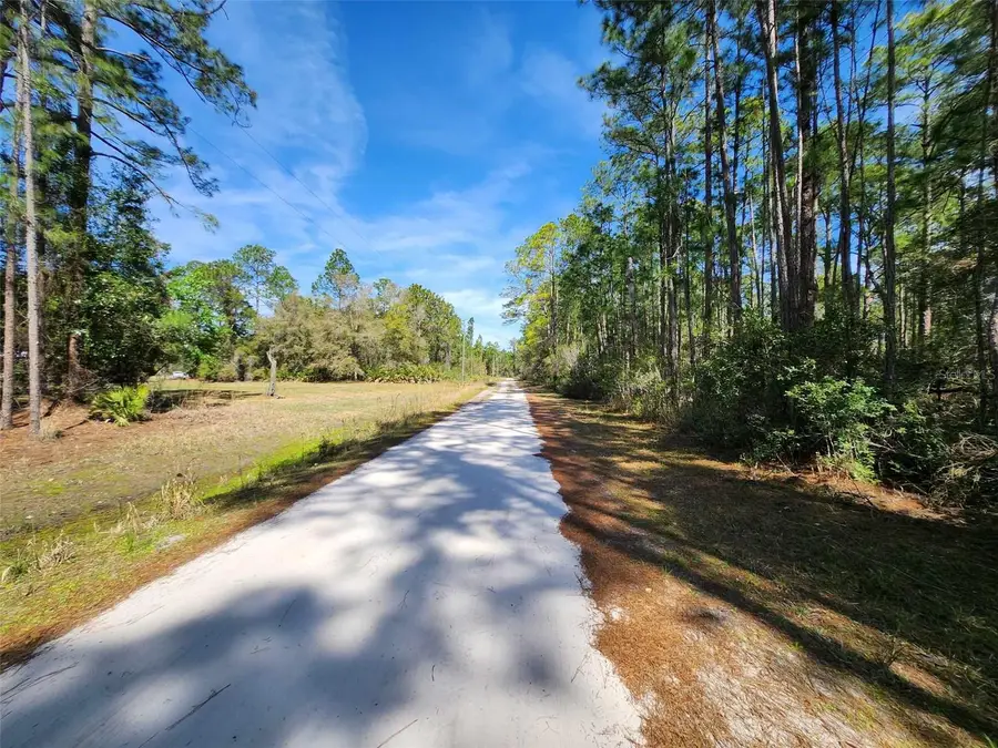 116 Mosswood Street, Georgetown, FL 32139 - Image #2