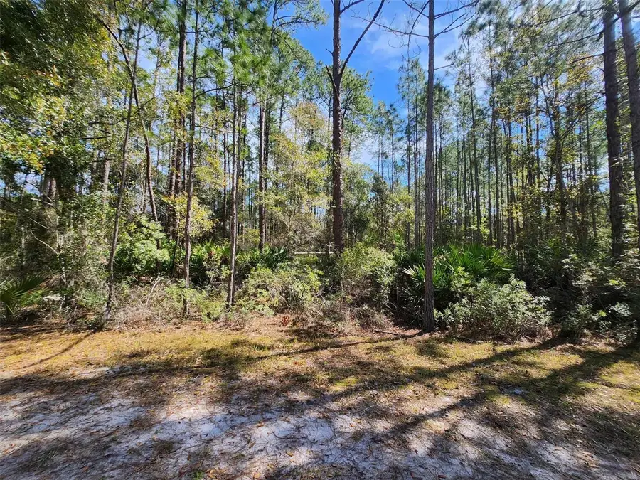 116 Mosswood Street, Georgetown, FL 32139 - Image #3