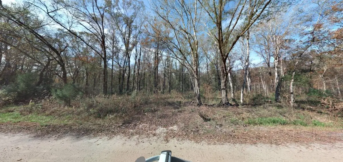 10555 Underwood Avenue, Hastings, FL 32145 - Image #1