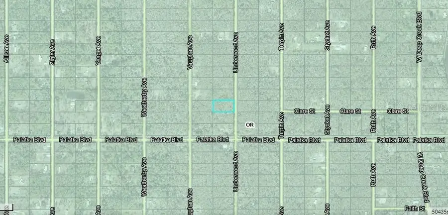 10555 Underwood Avenue, Hastings, FL 32145 - Image #3