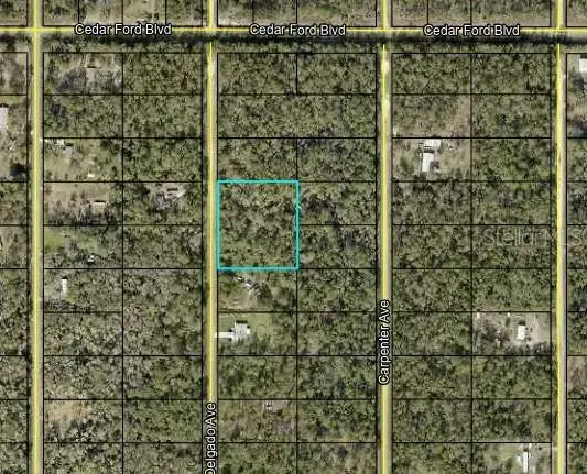 10430 Delgado Avenue, Hastings, FL 32145 - Image #2