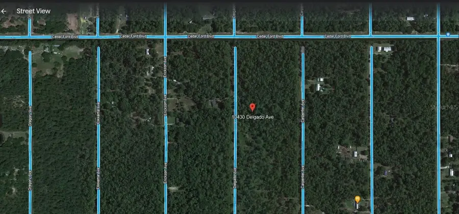 10430 Delgado Avenue, Hastings, FL 32145 - Image #3