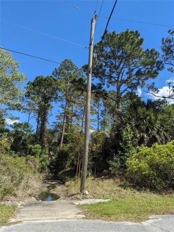 81 Pine Haven Dr, PALM COAST, FL 32164