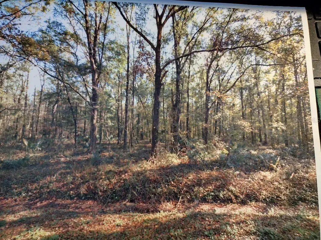 10040 Mcmahon Avenue, Hastings, FL 32145 - Image #1