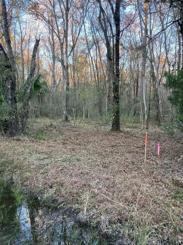 10450 Weatherby Avenue, HASTINGS, FL 32145